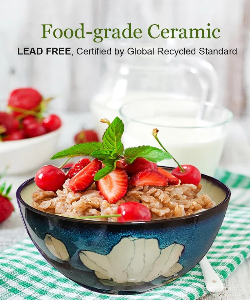 Ceramic Cereal Bowls for Kitchen - 28Oz Soup Bowl Set of 4 for Ramen, Salad, Ric